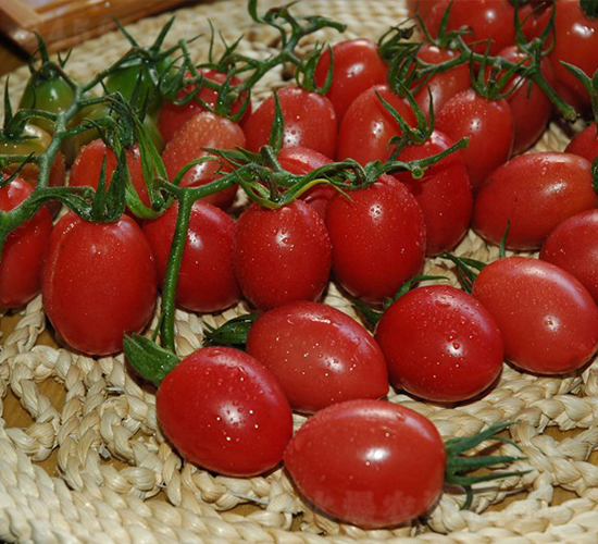 ����-���ҷ��ѷN��-�A���N��