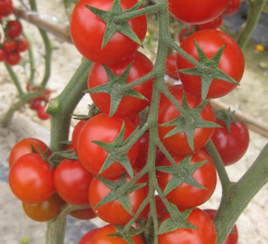 ������-���ҷ��ѷN��-�A���N��