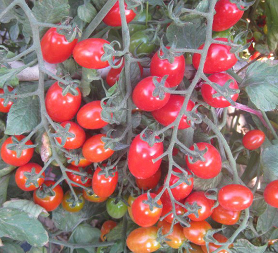 ����-���ҷ��ѷN��-�A���N��