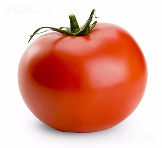 CNUS1704-�������L(zh��ng)���ѷN��-�A���N��