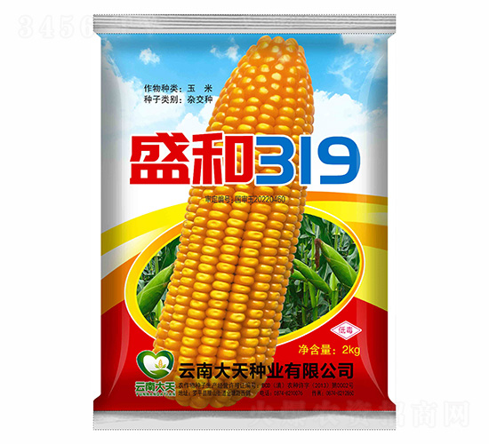 ���׷N��-ʢ��319-����N�I(y��)