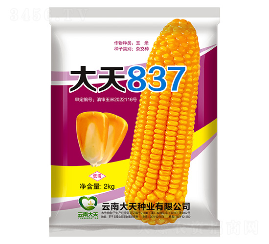 ���׷N��-����837-����N�I(y��)