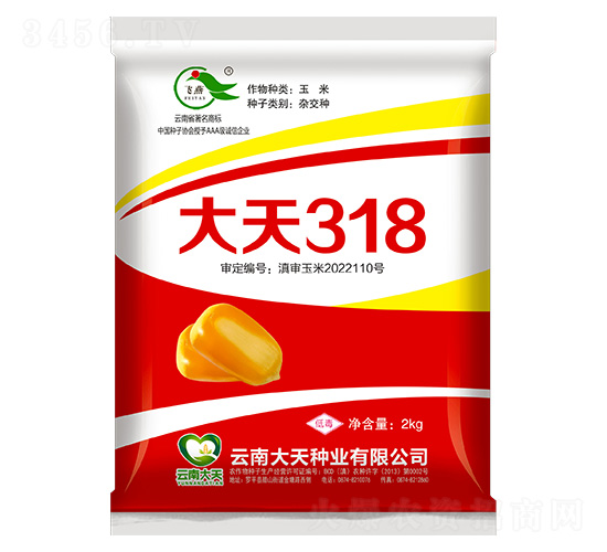 ���׷N��-����318-����N�I(y��)