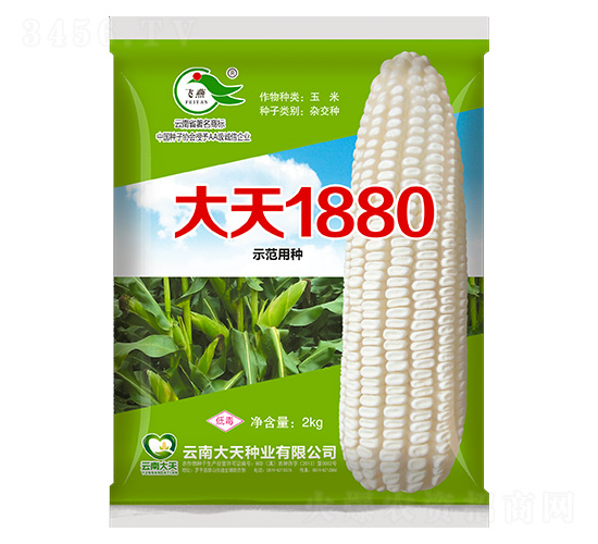 ���׷N��-����1880-����N�I(y��)