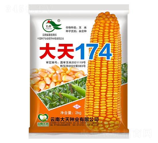 ���׷N��-����174-����N�I(y��)