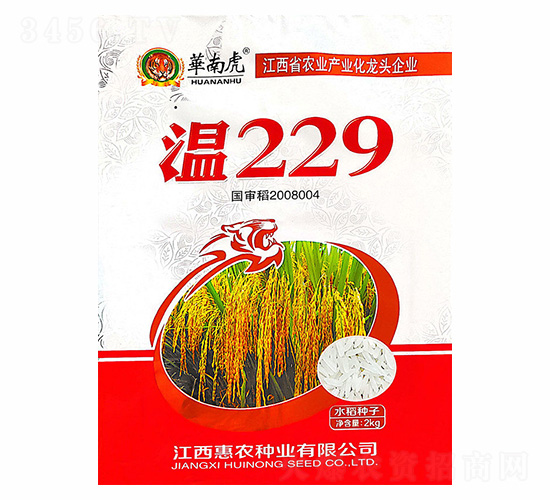 溫229水稻種子-華南虎-惠農(nóng)種業(yè)