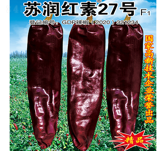 蘇潤(rùn)紅素27號(hào)-辣椒種子-蘇潤(rùn)種業(yè)