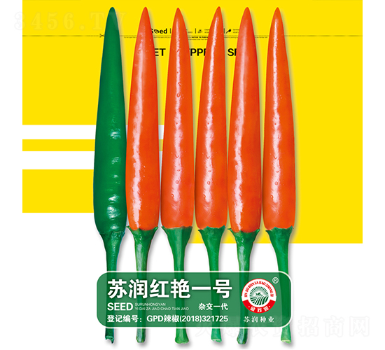 蘇潤紅艷一號-辣椒種子-蘇潤種業(yè)