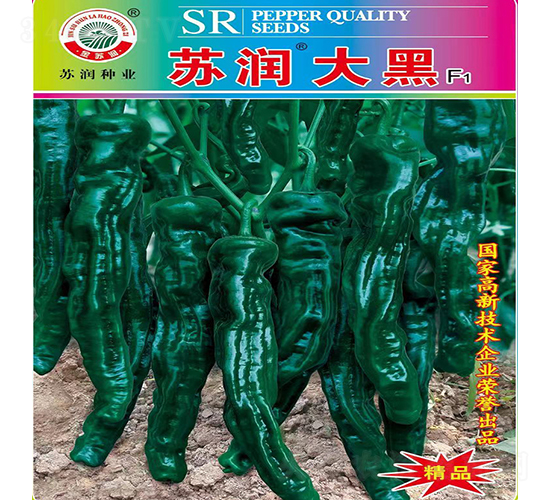 蘇潤(rùn)大黑-辣椒種子-蘇潤(rùn)種業(yè)