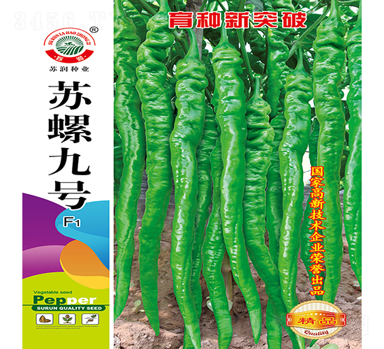 蘇螺九號-辣椒種子-蘇潤種業(yè)