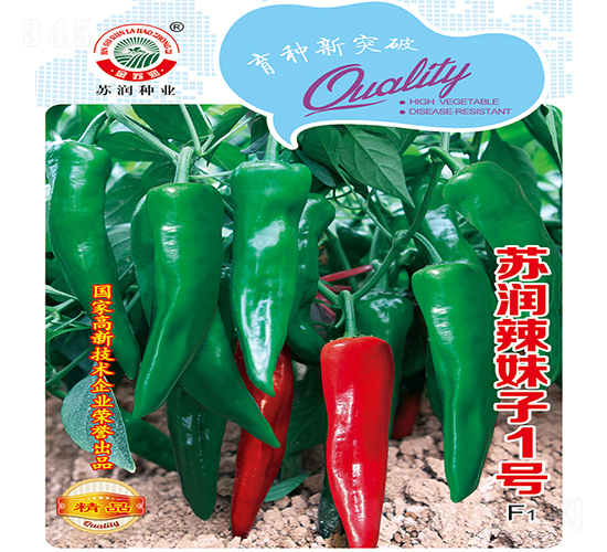 ������1̖-�����N��-�K���N�I(y��)