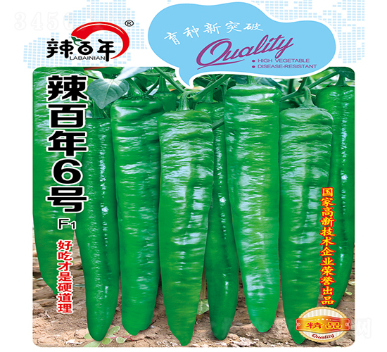 辣百年6號-辣椒種子-蘇潤種業(yè)