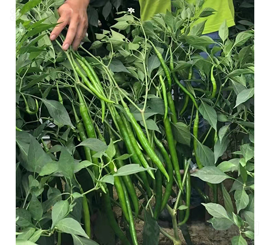 �K��ʮ��̖-�����N��-�K���N�I(y��)