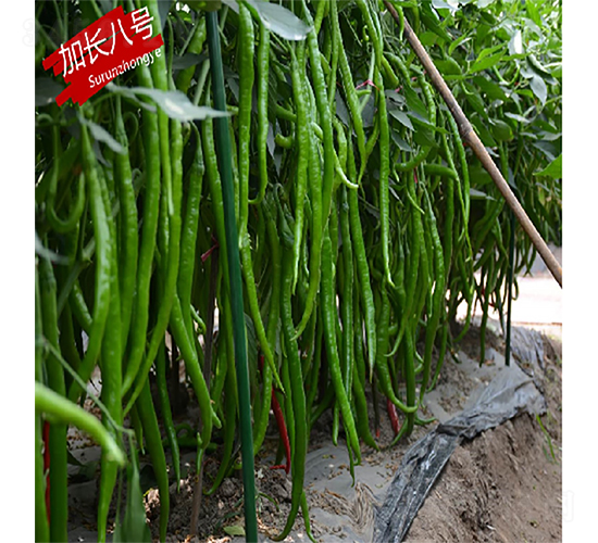 ���L(zh��ng)��̖(h��o)-�����N��-�K��(r��n)�N�I(y��)