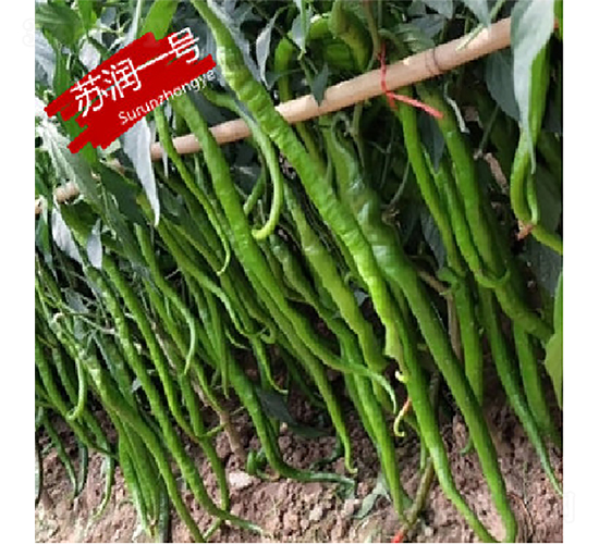 �K��һ̖-�����N��-�K���N�I(y��)