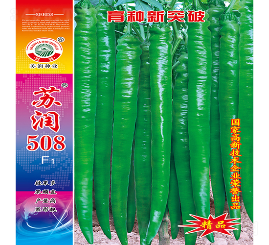 蘇潤508-辣椒種子-蘇潤種業(yè)