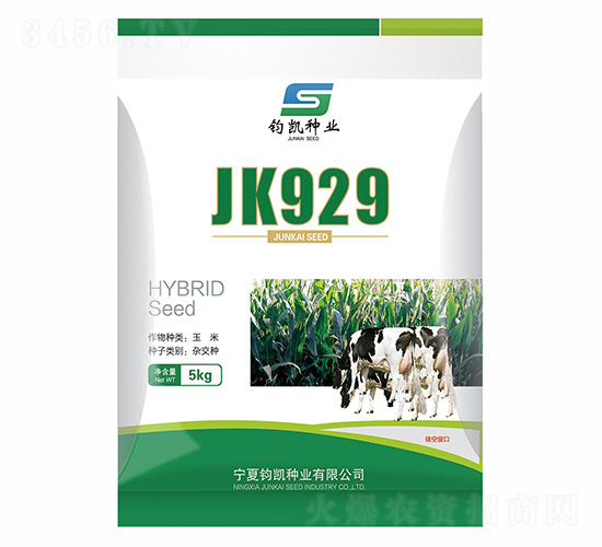 JK929-西蒙種業(yè)