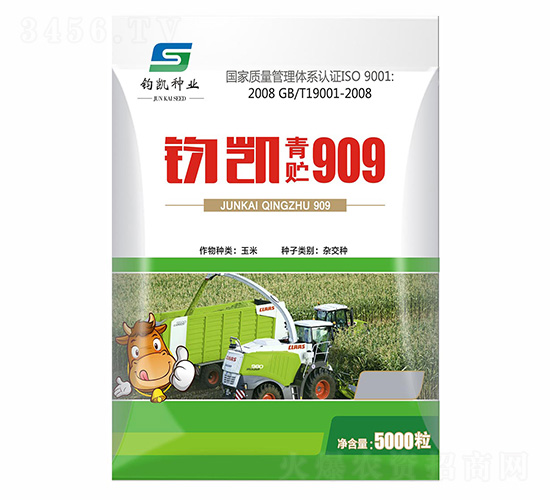 鈞凱青貯909-西蒙種業(yè)