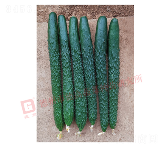 �¸�C28�S��-�S�ϷN��-�¸߷N�I(y��)