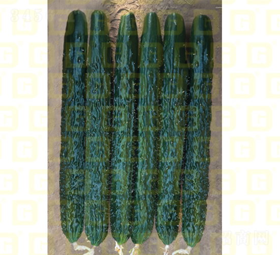 �¸�C5�S��-�S�ϷN��-�¸߷N�I(y��)