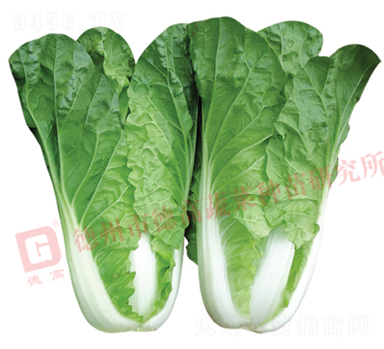 �~ɫ�Gɫ���-̩�-��˷N��-�¸߷N�I(y��)