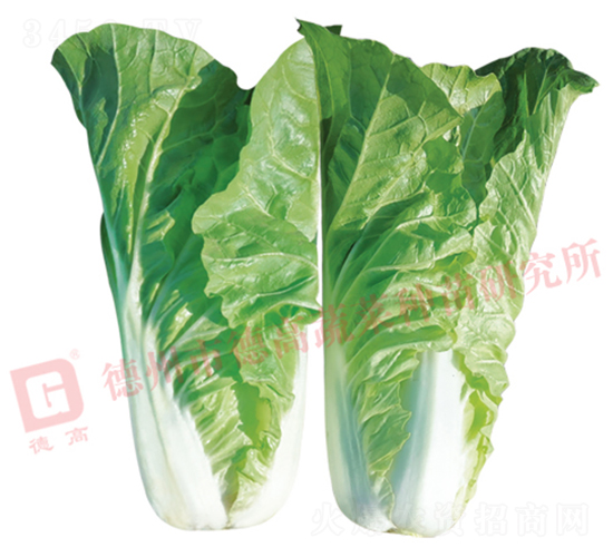 �~ɫ�Gɫ���-�¸߾G�-��˷N��-�¸߷N�I(y��)