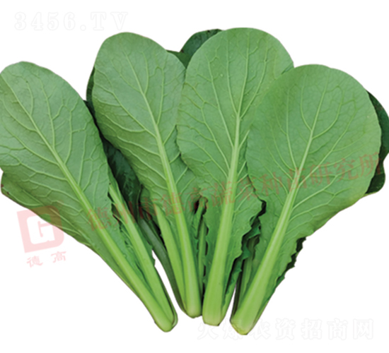 �G�Ϳ��-�¸�����8̖-��˷N��-�¸߷N�I(y��)