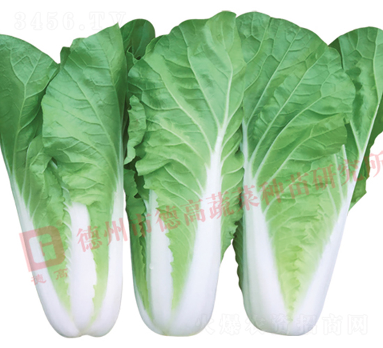 �~ɫ�S�G���-���9̖(h��o)-��˷N��-�¸߷N�I(y��)