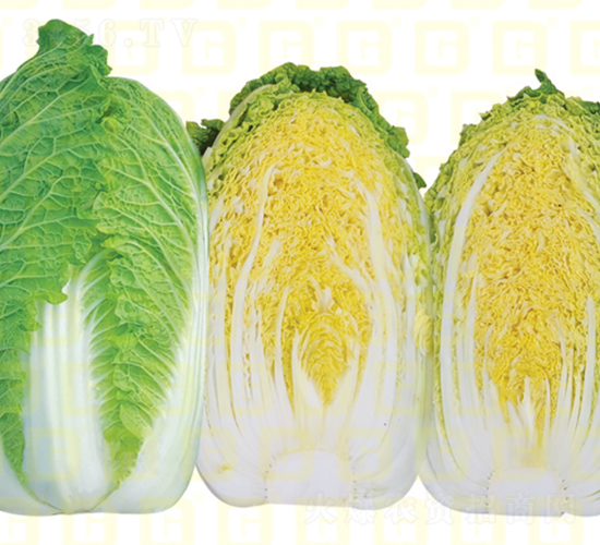 �¸ߵ��ጚ1̖-���޲˷N��-�¸߷N�I(y��)