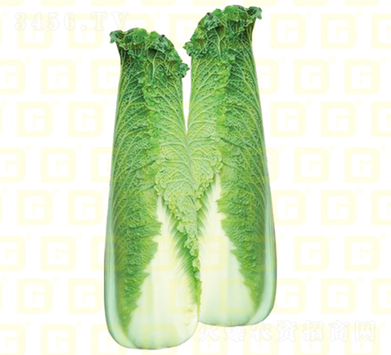 ��ѿ�B��-�¸�����7̖-��ײ˷N��-�¸߷N�I(y��)