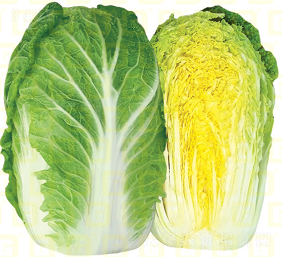 �Ϸ�Խ���ײ�-�¸߶���-��ײ˷N��-�¸߷N�I(y��)