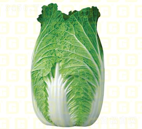 ������ײ�-�¸�7̖-��ײ˷N��-�¸߷N�I(y��)