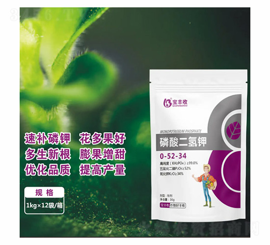 ��������0-52-34-���S��