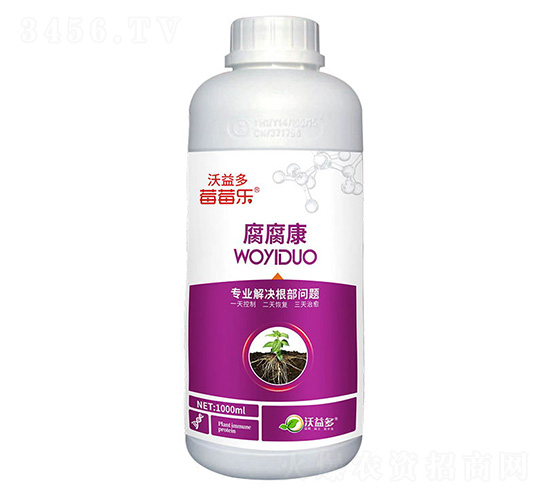 ������-ݮݮ��-�����