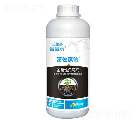 ��(x��)���Խǰ߲�-��������-ݮݮ��-�����