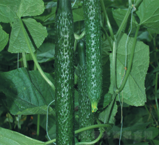 �д�12-18-�S�ϷN��-����