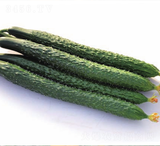 ����719-�S�ϷN��-����