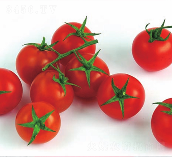 �R��-���ѷN��-����