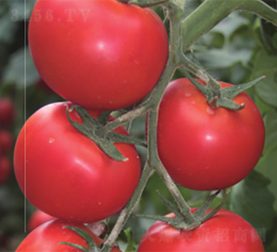 �_��-���ѷN��-����