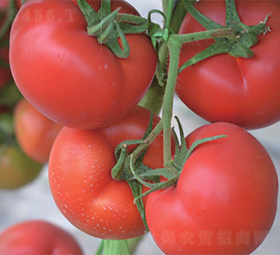 �_�D-���ѷN��-����