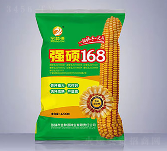 強(qiáng)碩168-玉米種子-金種源