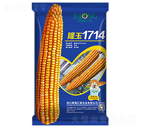 隆玉1714-玉米種子-聚隆匯智
