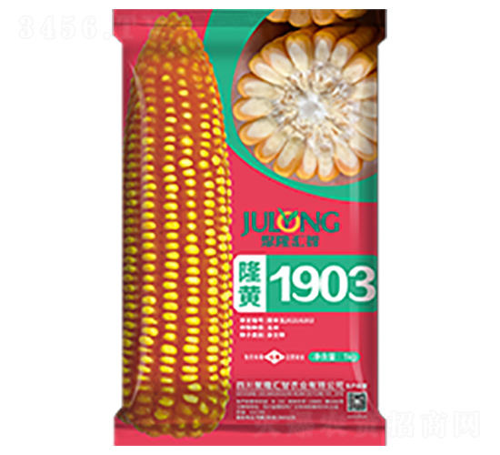 隆黃1903-玉米種子-聚隆匯智