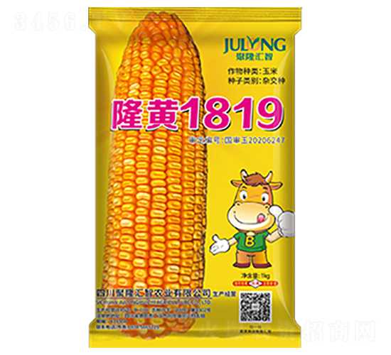 隆黃1819-玉米種子-聚隆匯智
