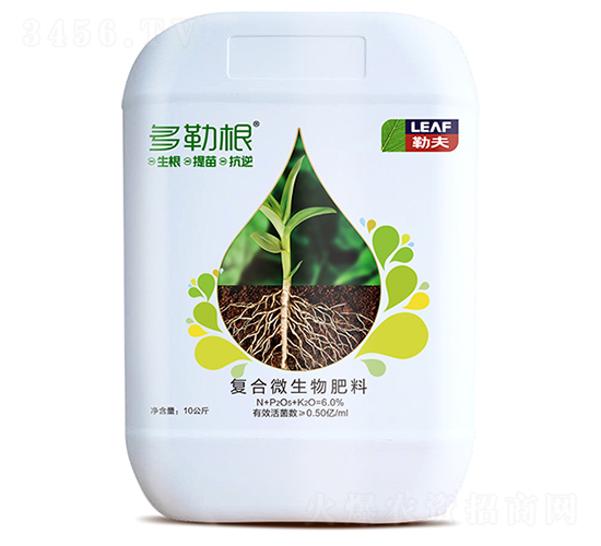 ���ո�-�շ�