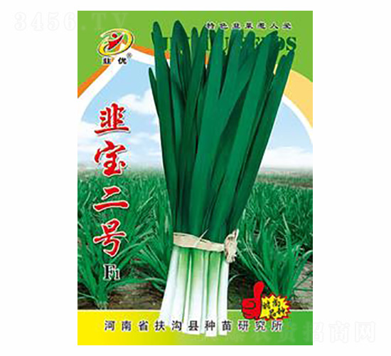 ����̖(h��o)F1-��(y��u)�N�I(y��)