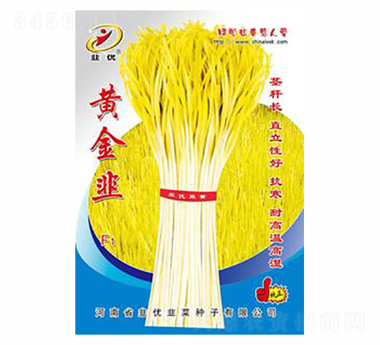 黃金韭F1-韭優(yōu)種業(yè)