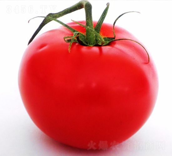 CNUS1607F1-�������L(zh��ng)���ѷN��-�A���N��