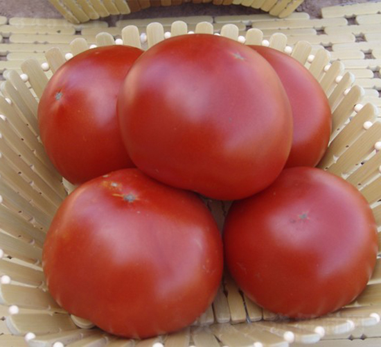 CNUS028F1-�������L(zh��ng)���ѷN��-�A���N��