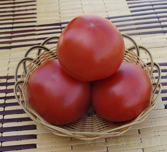 CNUS08F1-�������L(zh��ng)���ѷN��-�A���N��